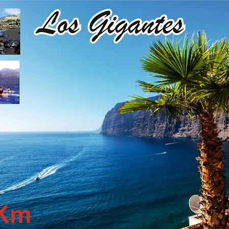 Maoli B * 이코드레로스비노스