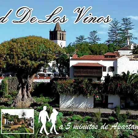 Apartamento Maoli B Icod De Los Vinos