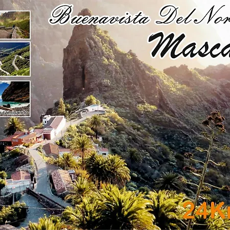 Apartamento Maoli B Icod De Los Vinos